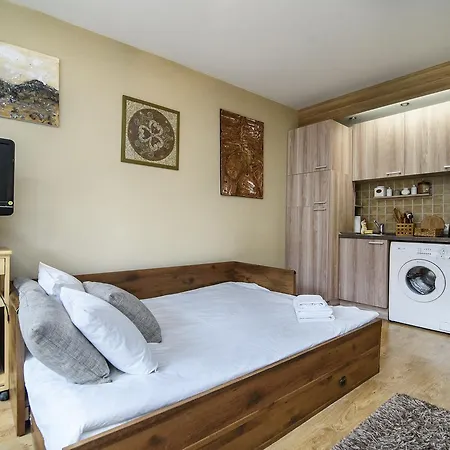 דירה Old Town Studio In Stepono Str וילנה