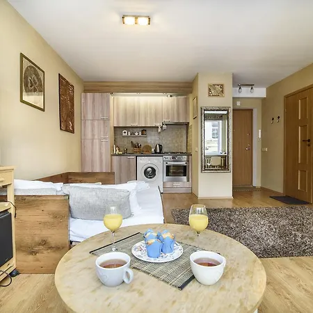 Old Town Studio In Stepono Str * Vilna